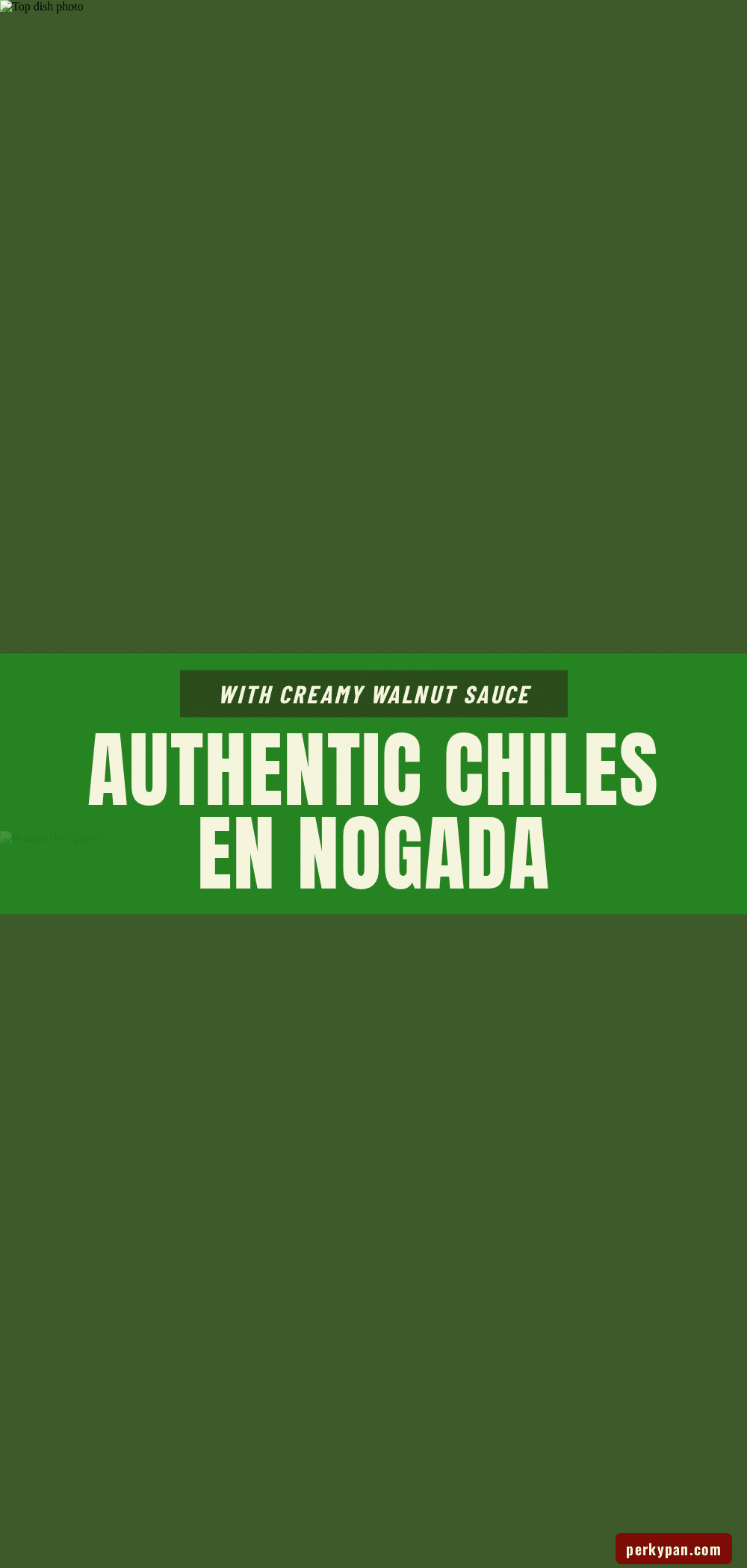 chiles en nogada recipe recipe