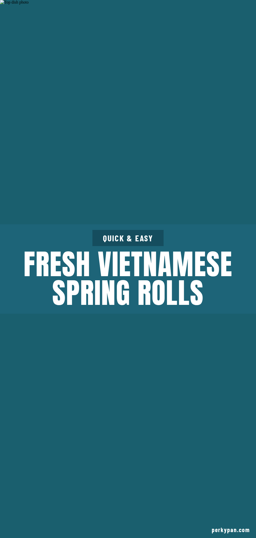 fresh vietnamese spring rolls recipe