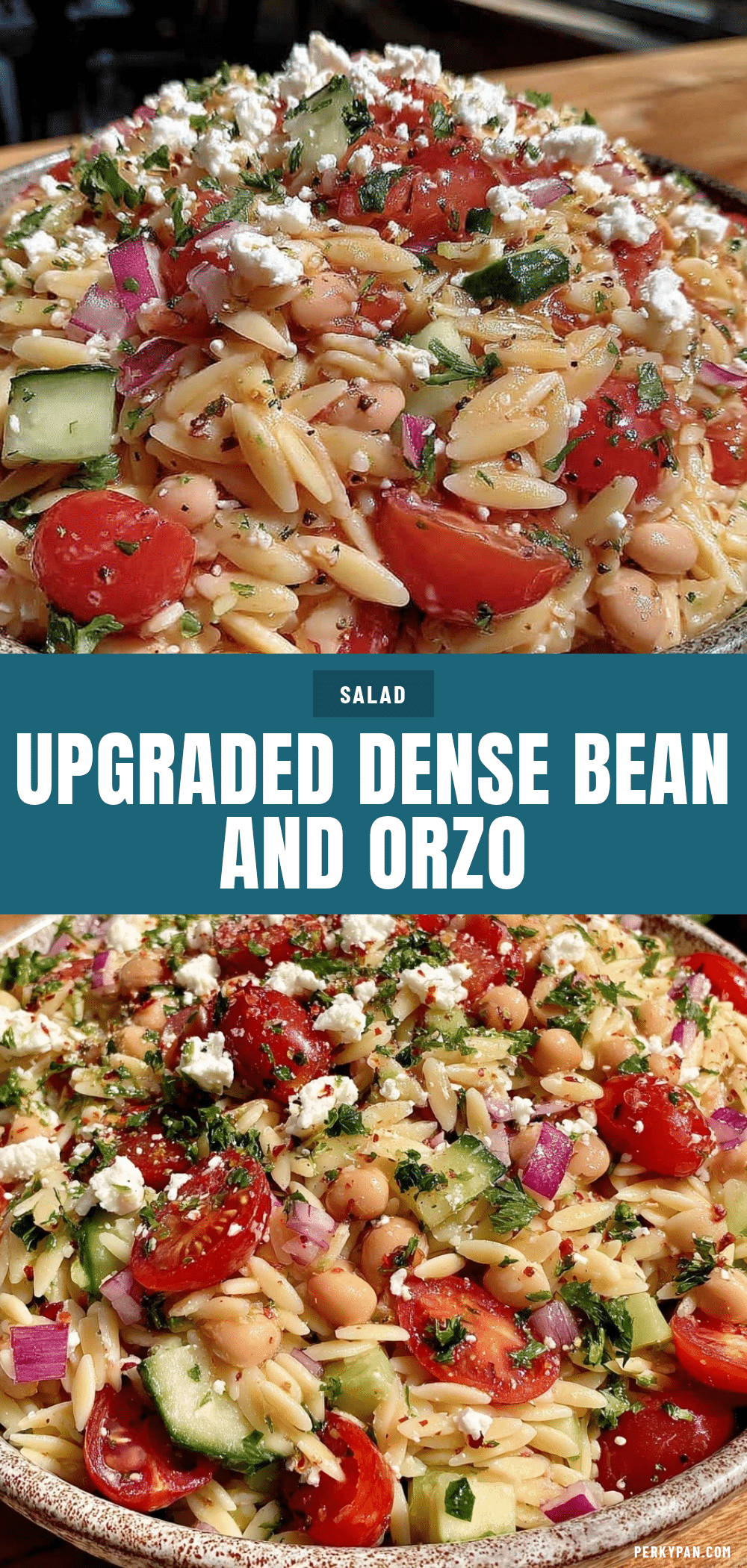 dense bean and orzo salad recipe