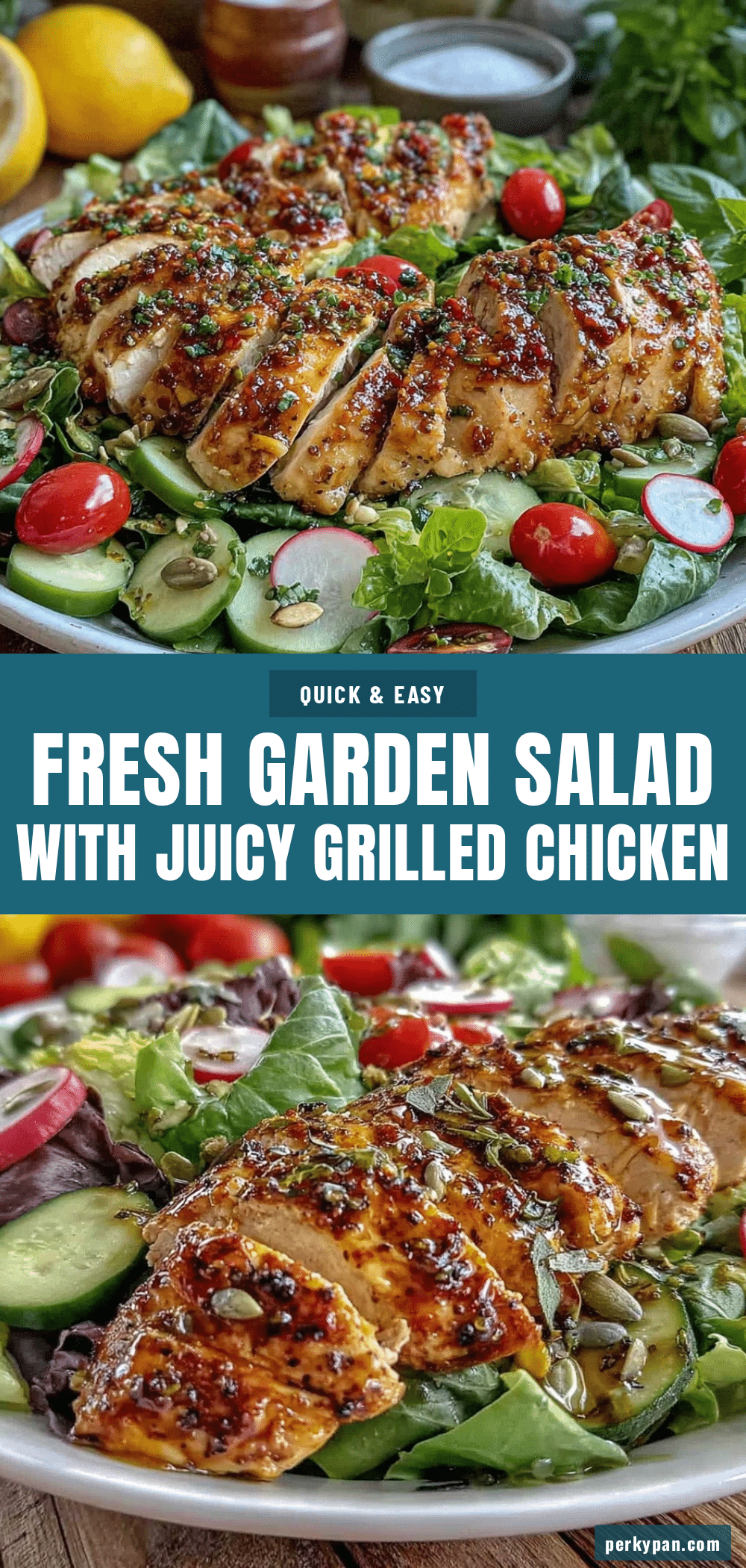 fresh clean garden salad with juicy grilled chicken breast recipe