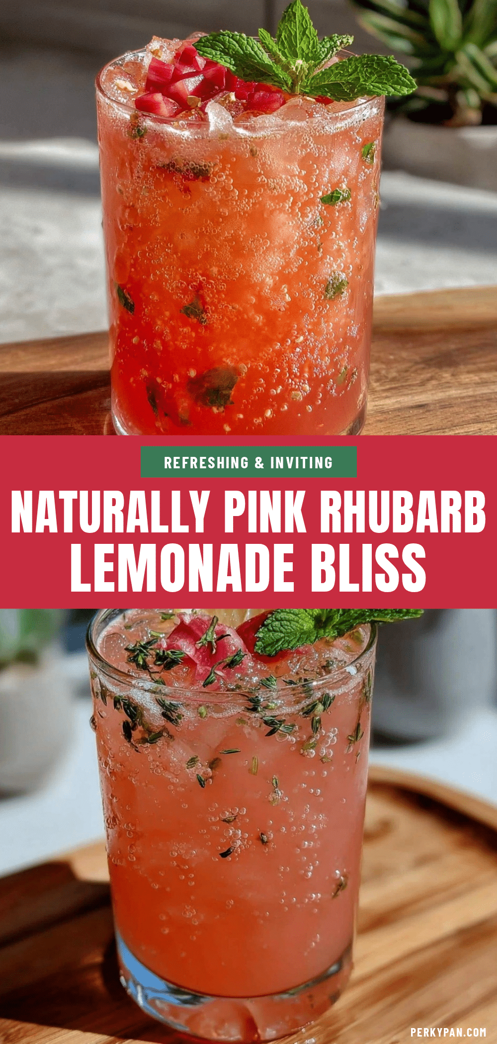 fresh naturally pink rhubarb lemonade recipe