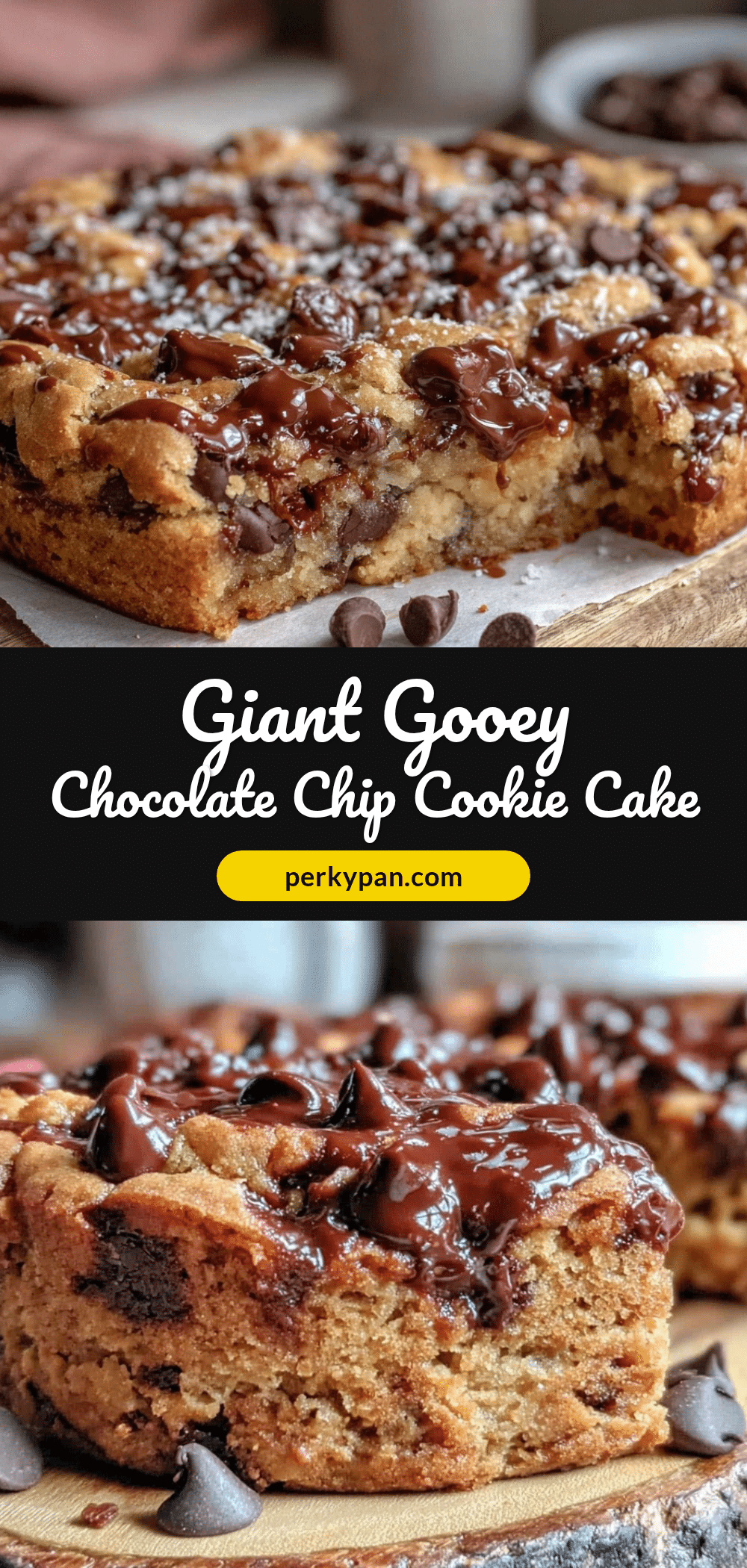cozy giant chocolate chip cookie cake recipe
