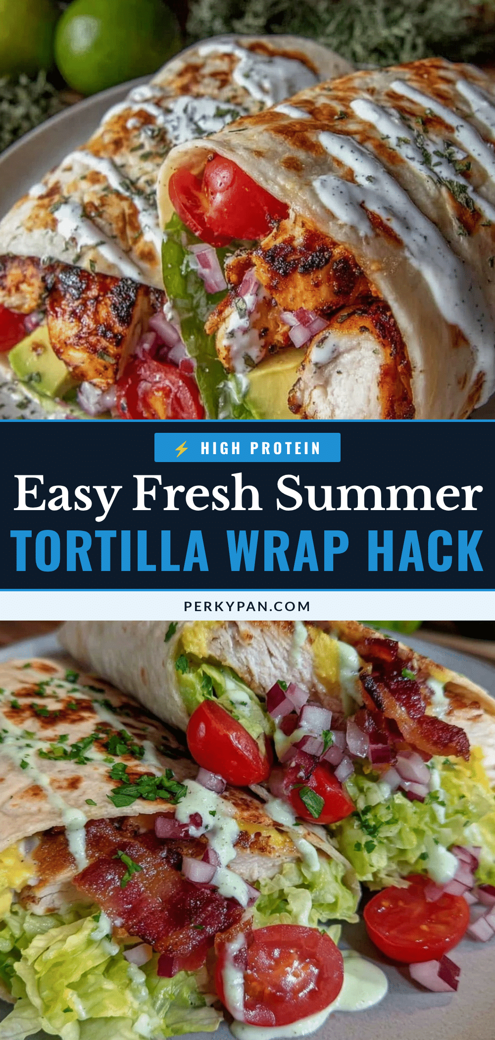fresh tortilla wrap recipe