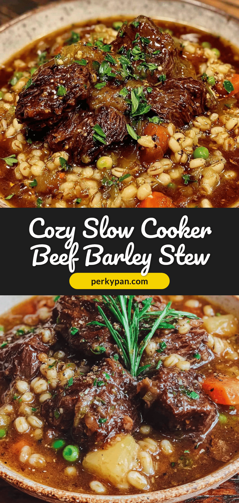 beef and barley stew recipe