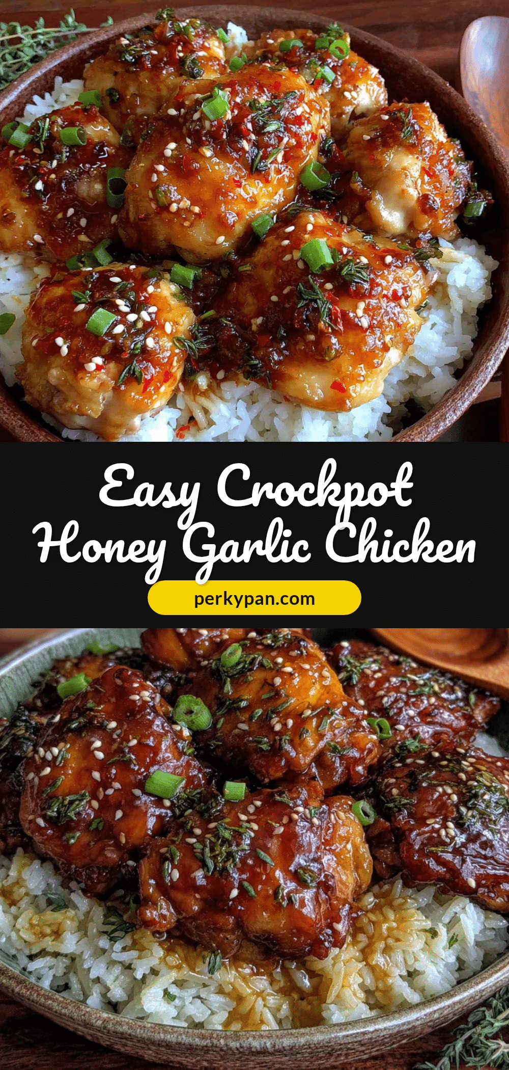 crockpot honey garlic chicken and rice recipe
