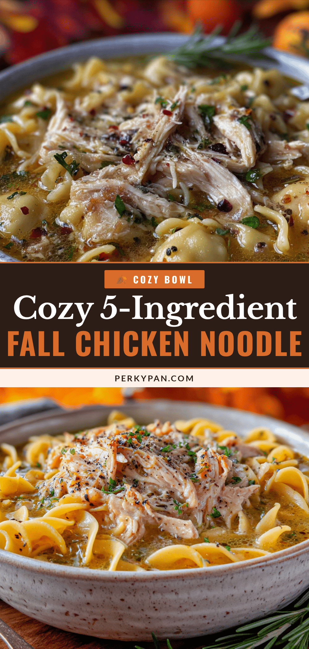 5-ingredient fall chicken noodle soup recipe