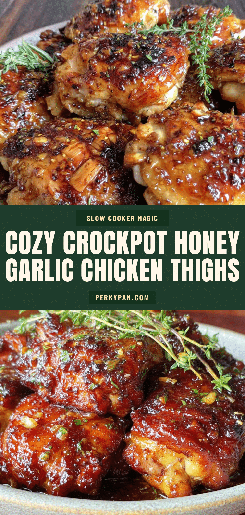 cozy crockpot honey garlic chicken thighs recipe
