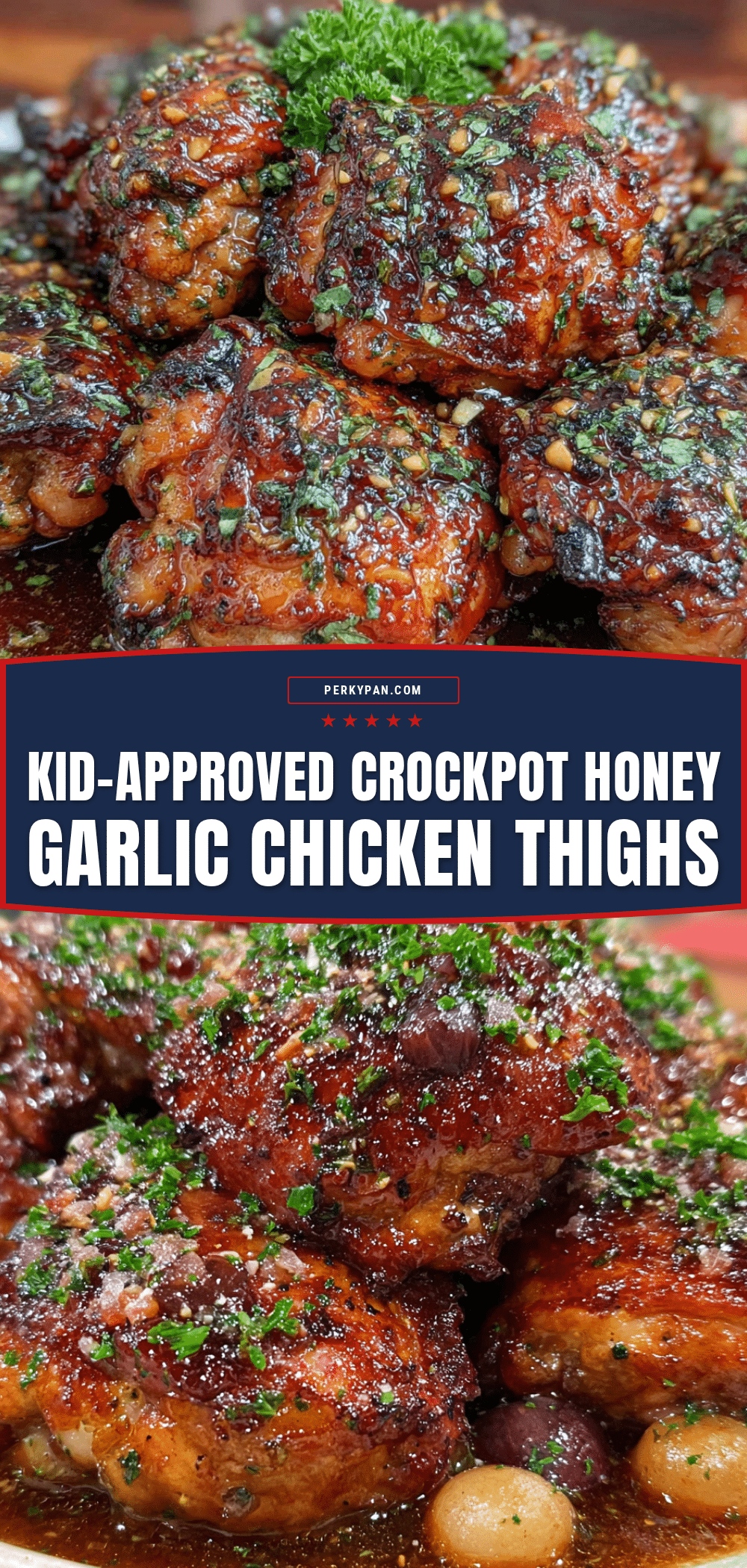 crockpot honey garlic chicken thighs recipe