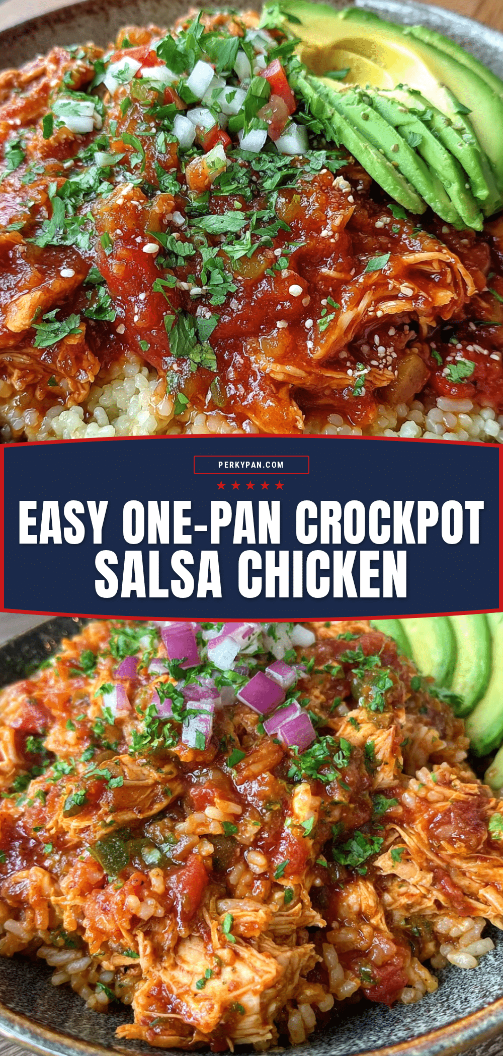 Easy One-Pan Crockpot Salsa Chicken recipe