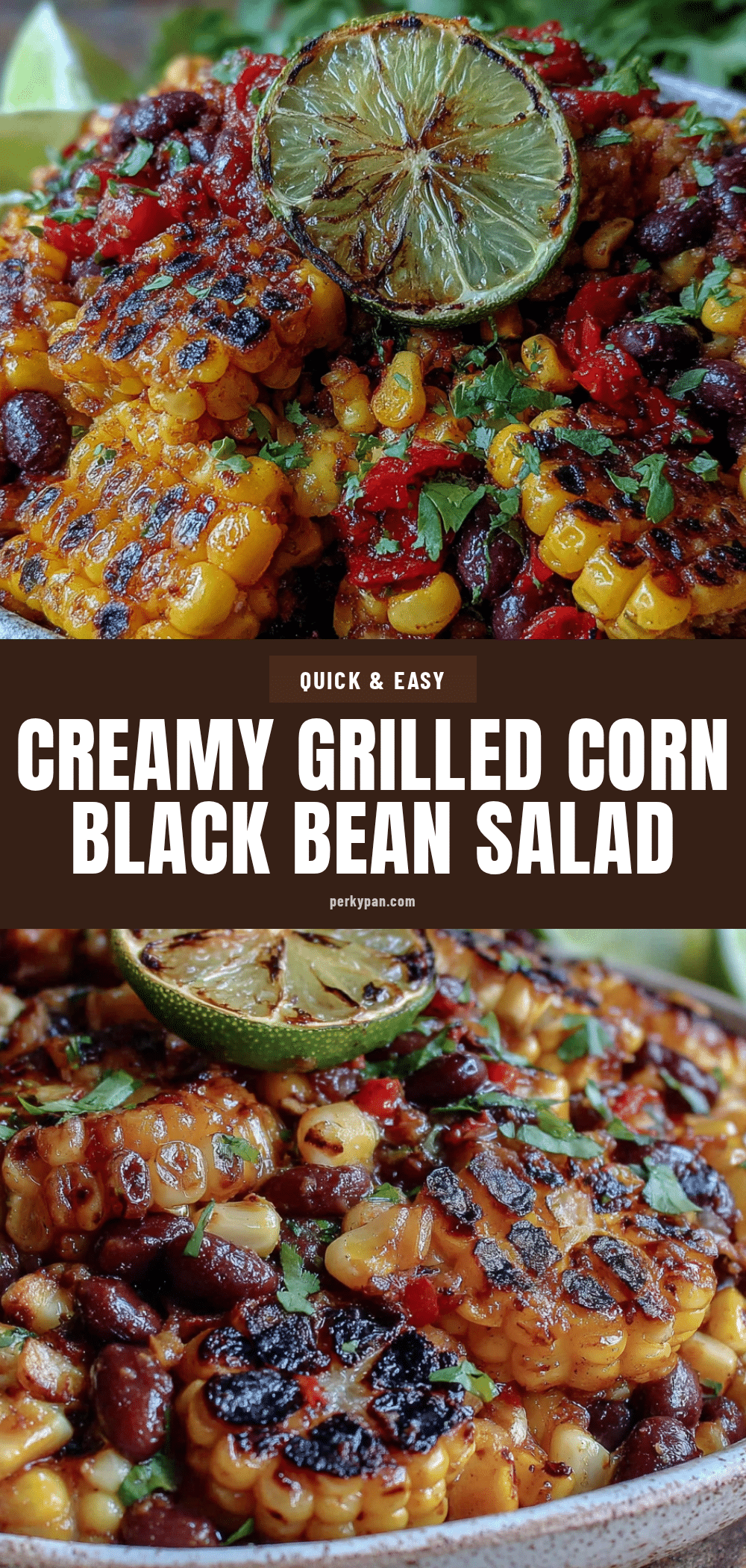 Grilled Corn and Black Bean Salsa Salad recipe