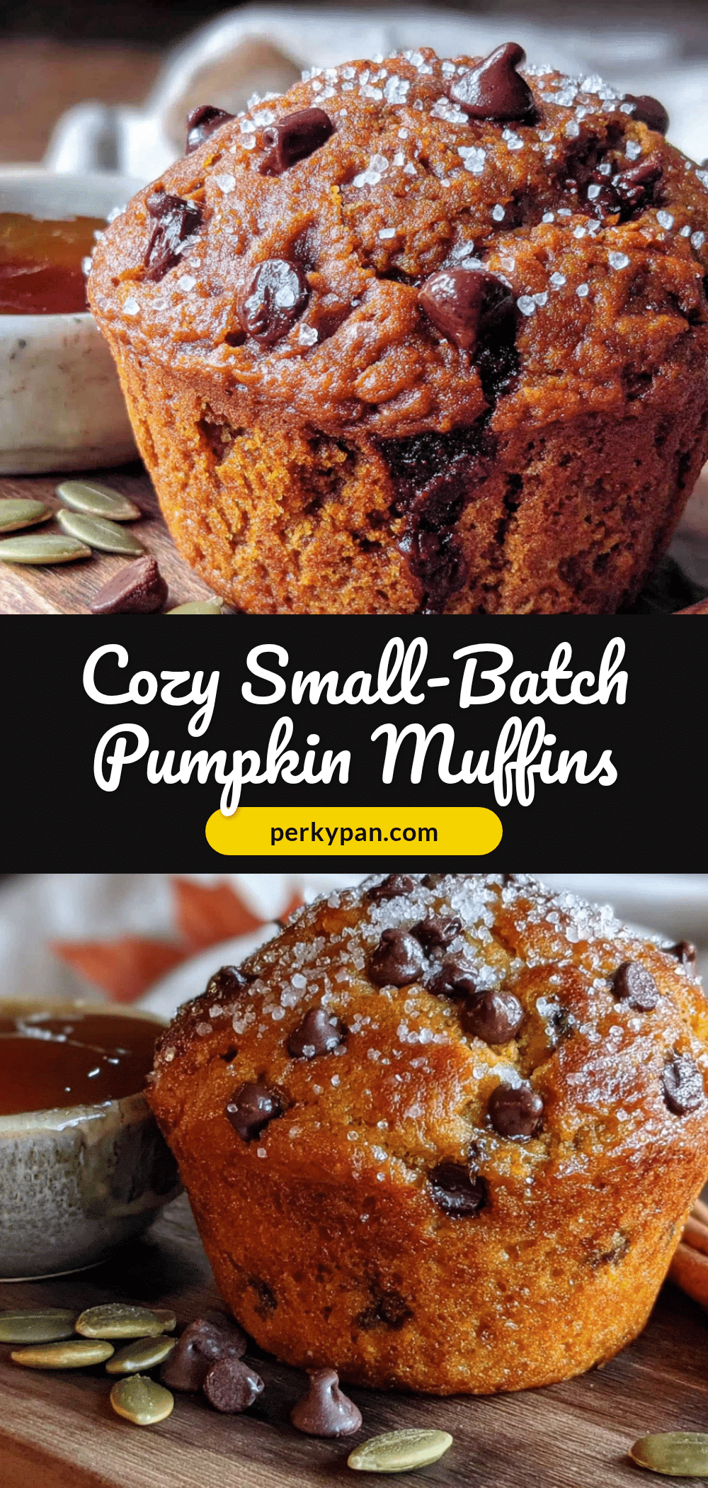 pumpkin chocolate chip muffins recipe