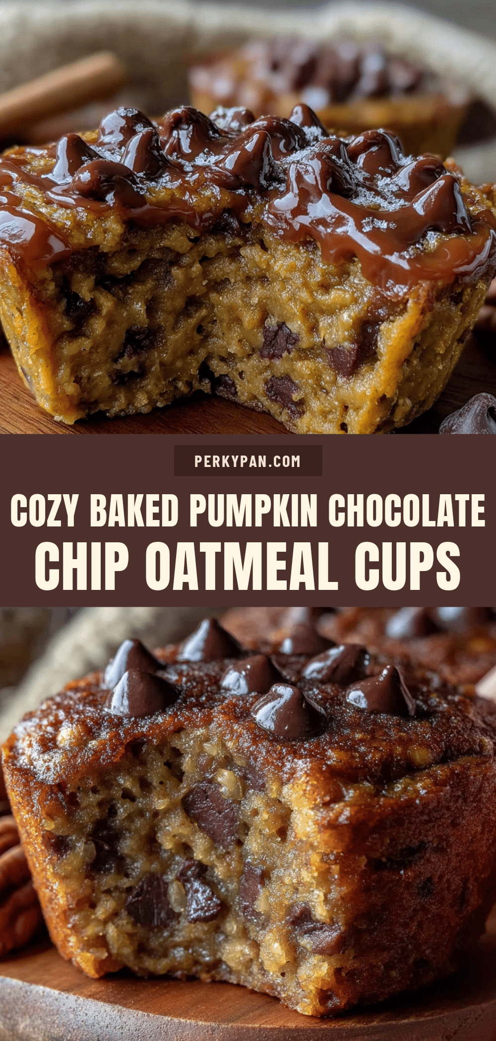 pumpkin chocolate chip oatmeal cups recipe