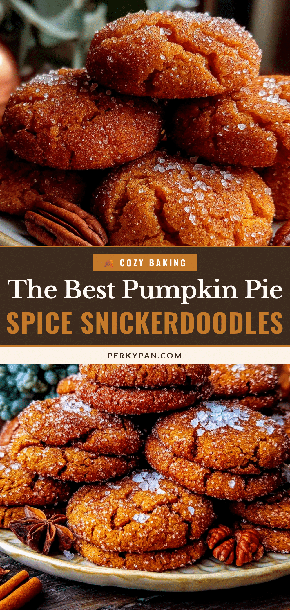 Pumpkin Pie Spice Snickerdoodles recipe