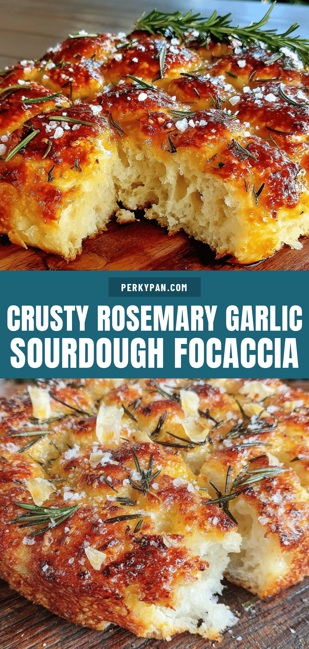 rosemary garlic sourdough focaccia recipe