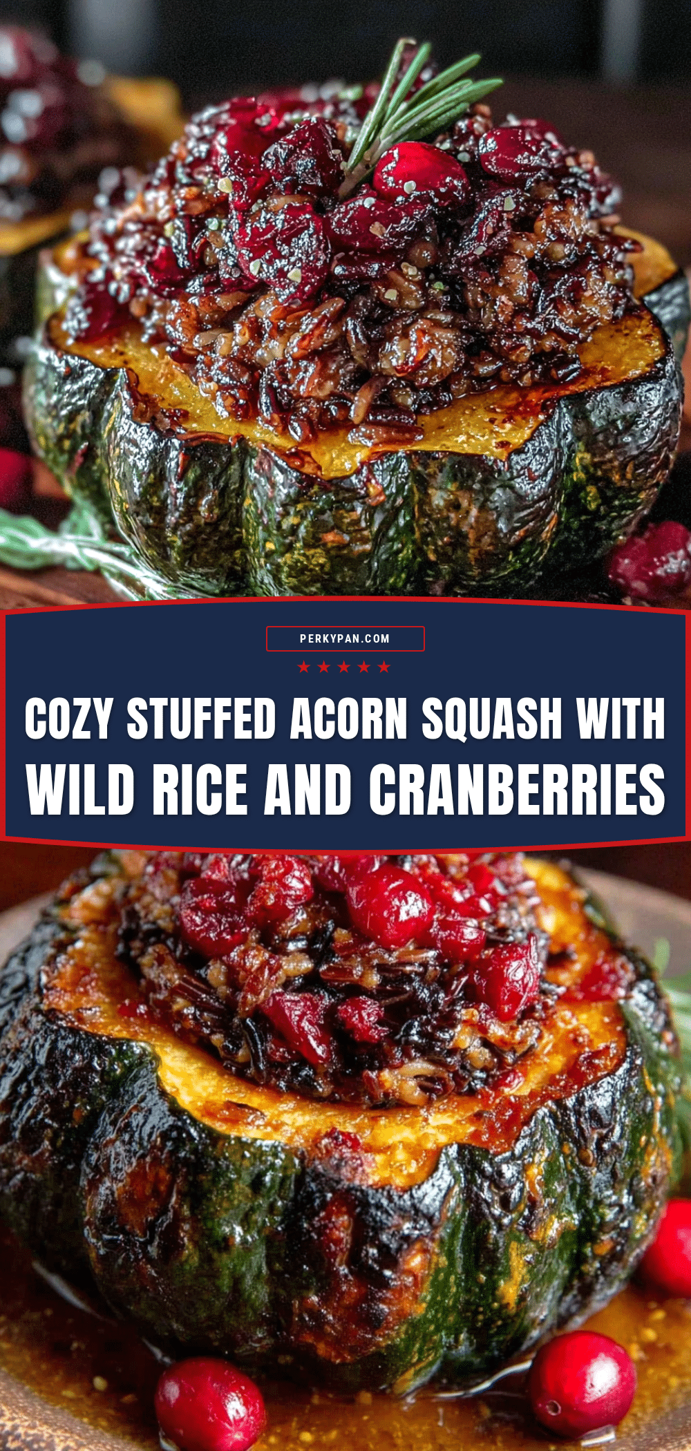 stuffed acorn squash with wild rice and cranberries recipe