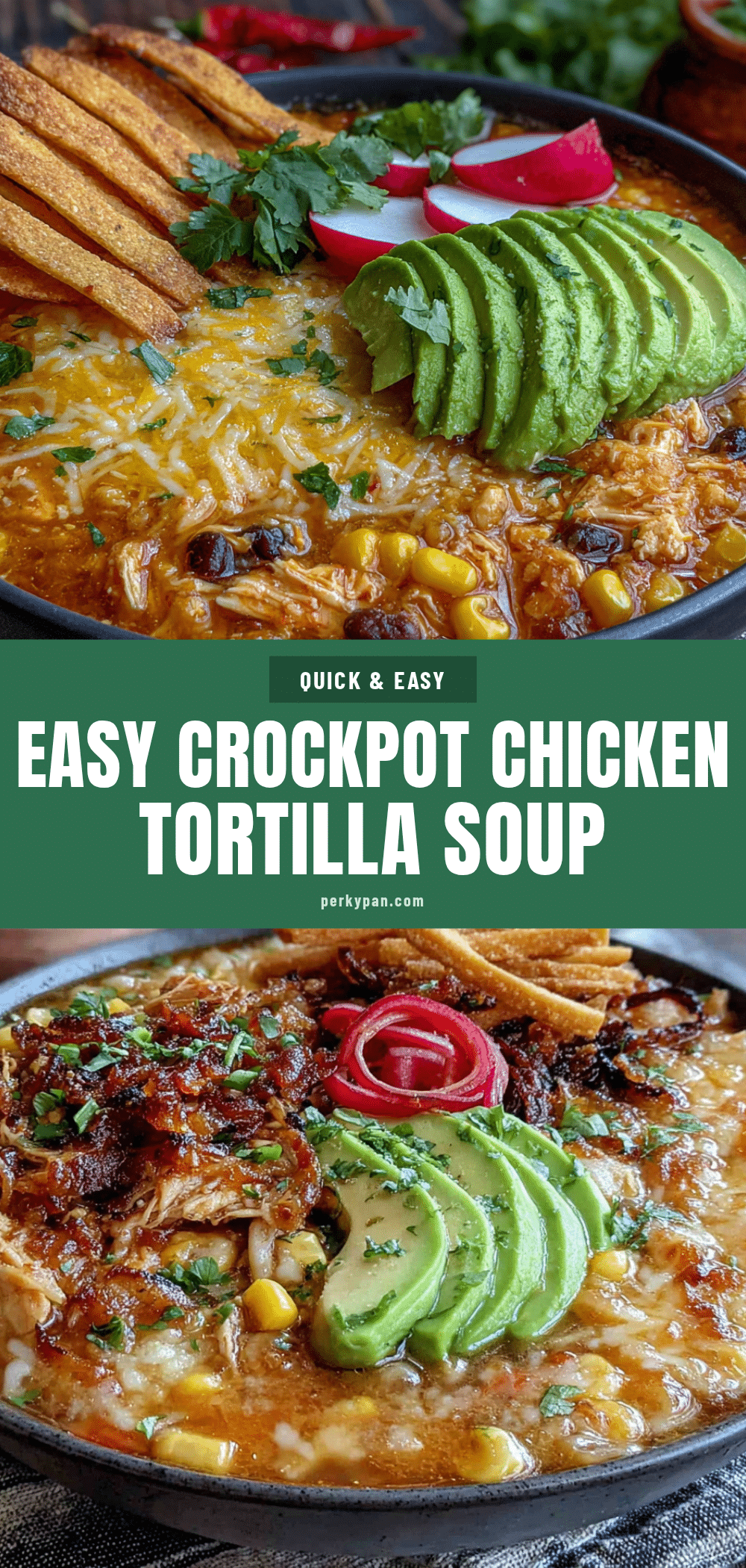 crockpot chicken tortilla soup recipe