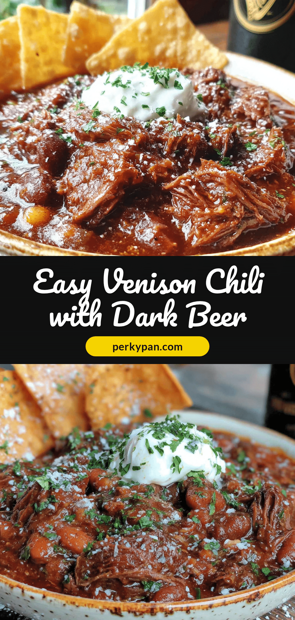 easy venison chili with dark beer recipe