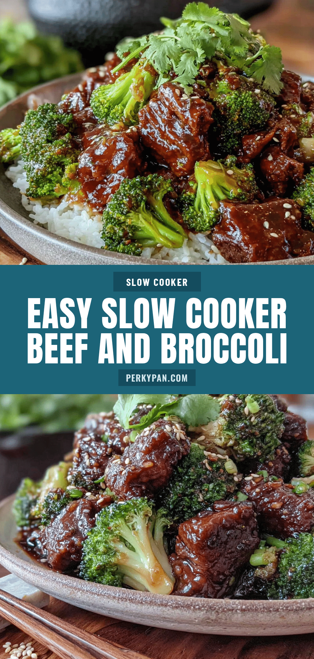 slow cooker beef and broccoli recipe